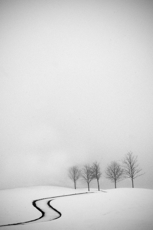 tumblr_mdg6qvS2Nu1ruvzg5o1_500_large
